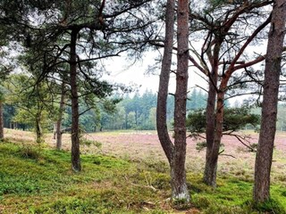 Maison de vacances Zelhem Environnement 30