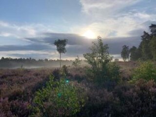 Maison de vacances Zelhem Environnement 23