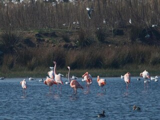 Casa per le vacanze Zelhem Ambiente 37