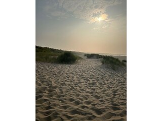 Strand Renesse