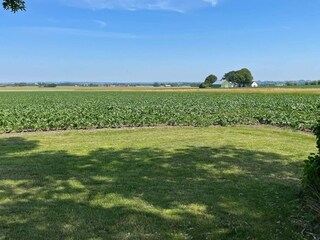 Ferienhaus Ystad Außenaufnahme 5