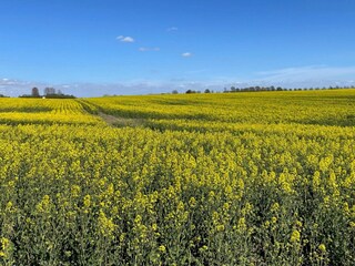 Ferienhaus Ystad  26