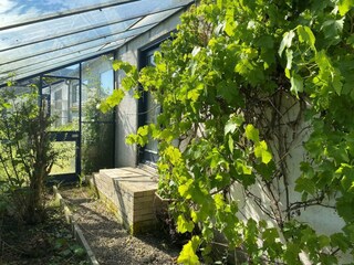 Vakantiehuis Boddum  8