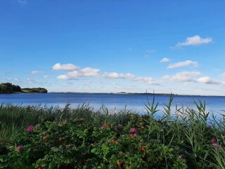 Vakantiehuis Boddum  39