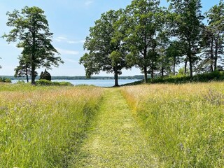 Vakantiehuis  20