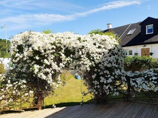 Vakantiehuis Anderslöv Buitenaudio-opname 3