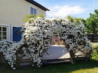 Vakantiehuis Anderslöv Buitenaudio-opname 3