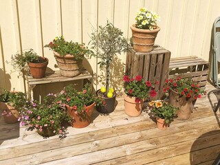 Vakantiehuis Klädesholmen Buitenaudio-opname 2