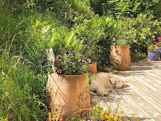 Vakantiehuis Klädesholmen Buitenaudio-opname 6