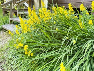 Vakantiehuis Backaryd Buitenaudio-opname 5