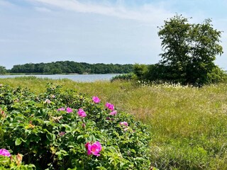 Vakantiehuis Olofström Buitenaudio-opname 7