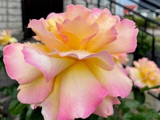 Vakantiehuis Sölvesborg Buitenaudio-opname 7