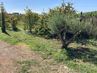 Vakantiehuis Pouzols Minervois Buitenaudio-opname 3