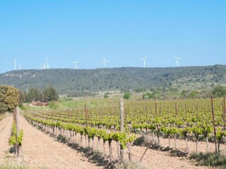 Vakantiehuis Pouzols Minervois Omgeving 29