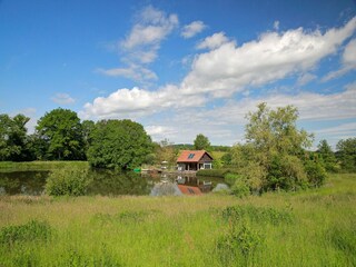 Ferienhaus Abreschviller Umgebung 22