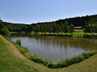 Maison de vacances Abreschviller Environnement 25