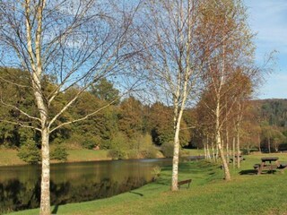 Vakantiehuis Abreschviller Omgeving 20