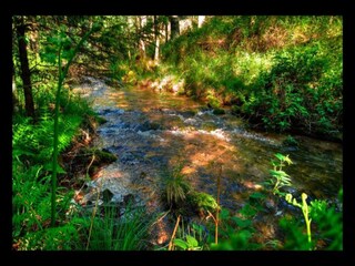 Vakantiehuis Abreschviller Omgeving 38