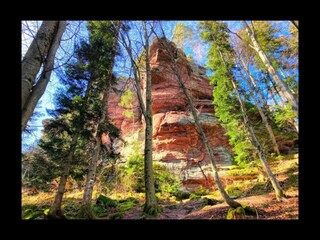 Maison de vacances Abreschviller Environnement 28