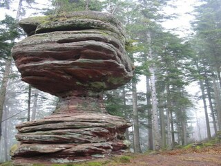Ferienhaus Abreschviller Umgebung 21