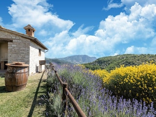 Farmhouse Acqualagna Outdoor Recording 11