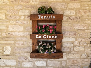 Type de propriété : Ferme Acqualagna  39