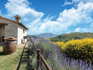 Bauernhof Acqualagna Außenaufnahme 4