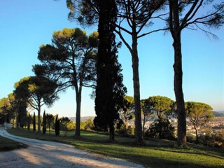 Farmhouse Acqualagna Environment 28