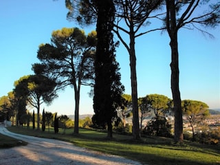 Type de propriété : Ferme Acqualagna Environnement 31