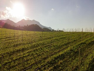 Farmhouse Acqualagna Environment 31