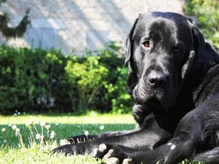 Fattoria Acqualagna  40