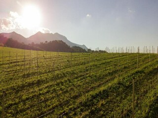 Farmhouse Acqualagna Environment 30