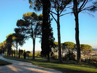 Casa de campo Acqualagna Entorno 31