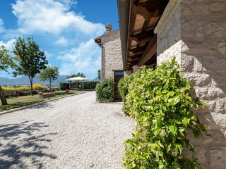 Type de propriété : Ferme Acqualagna Enregistrement extérieur 14