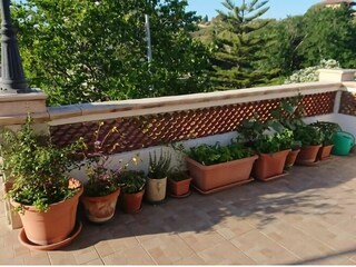 Apartment Ganzirri Outdoor Recording 7