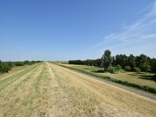 Vakantiehuis Zonnemaire Omgeving 27