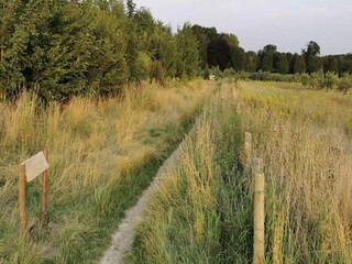 Maison de vacances Sittard Environnement 19