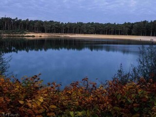 Maison de vacances Kattendijke Environnement 35