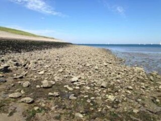 Vakantiehuis Kattendijke Omgeving 27