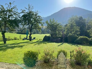 Blick auf den Garten