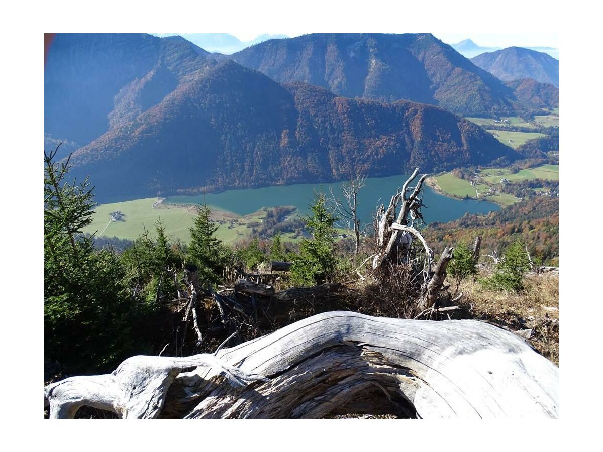 Aussicht auf den Fuschlsee