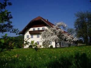 Apartment Hinterbauerngut - Faistenau - image1