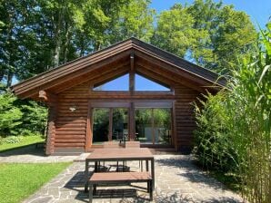 Apartment Hütte am Wald - Hof bei Salzburg - image1