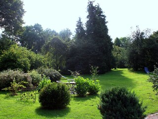 Alter Baumbestand in einem wunderbaren Garten