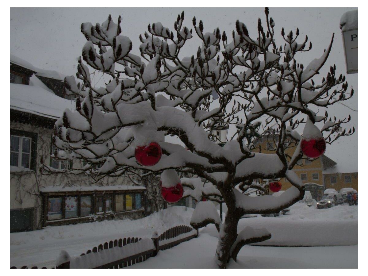 Pension Schierl Winter Essigbaum