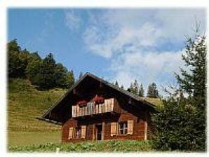 Apartment Oberhöferhütte - Faistenau - image1