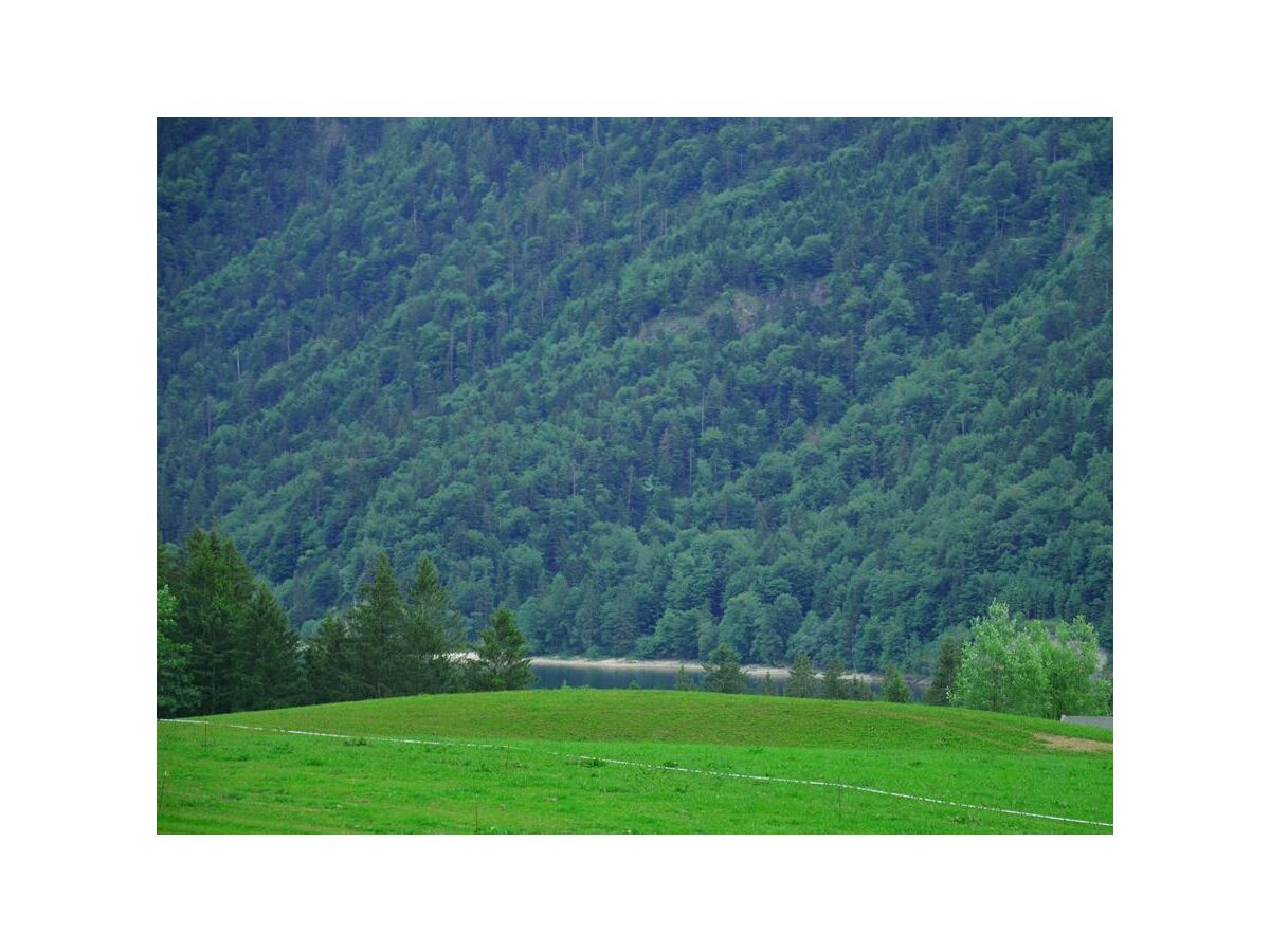 Blick zum Hintersee