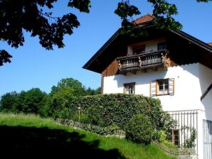 Apartment Haus Stöllinger-Kirchbichl-Bio-Bauernhof - Hof bei Salzburg - image1