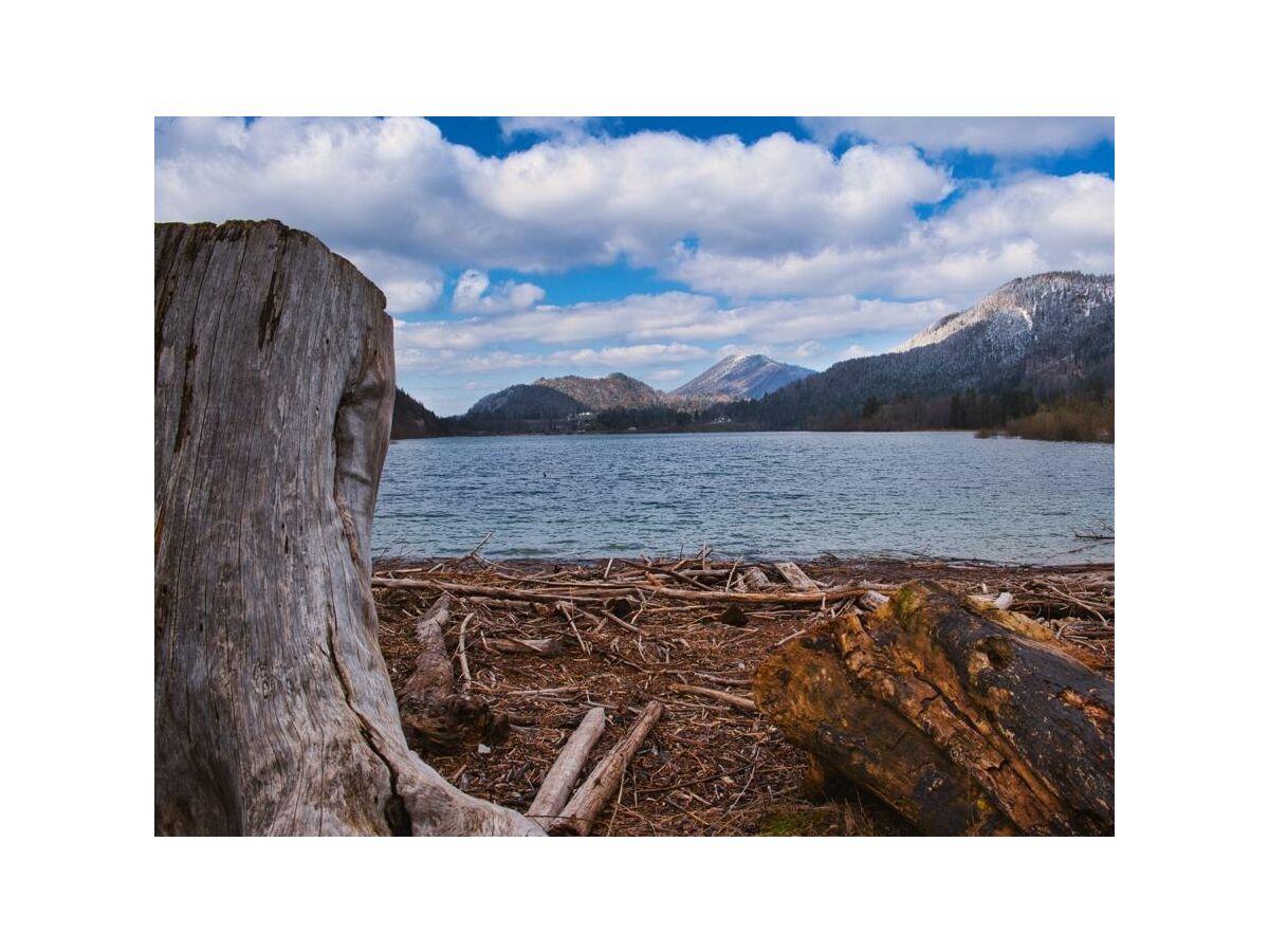 Hintersee Frühling 2020 6