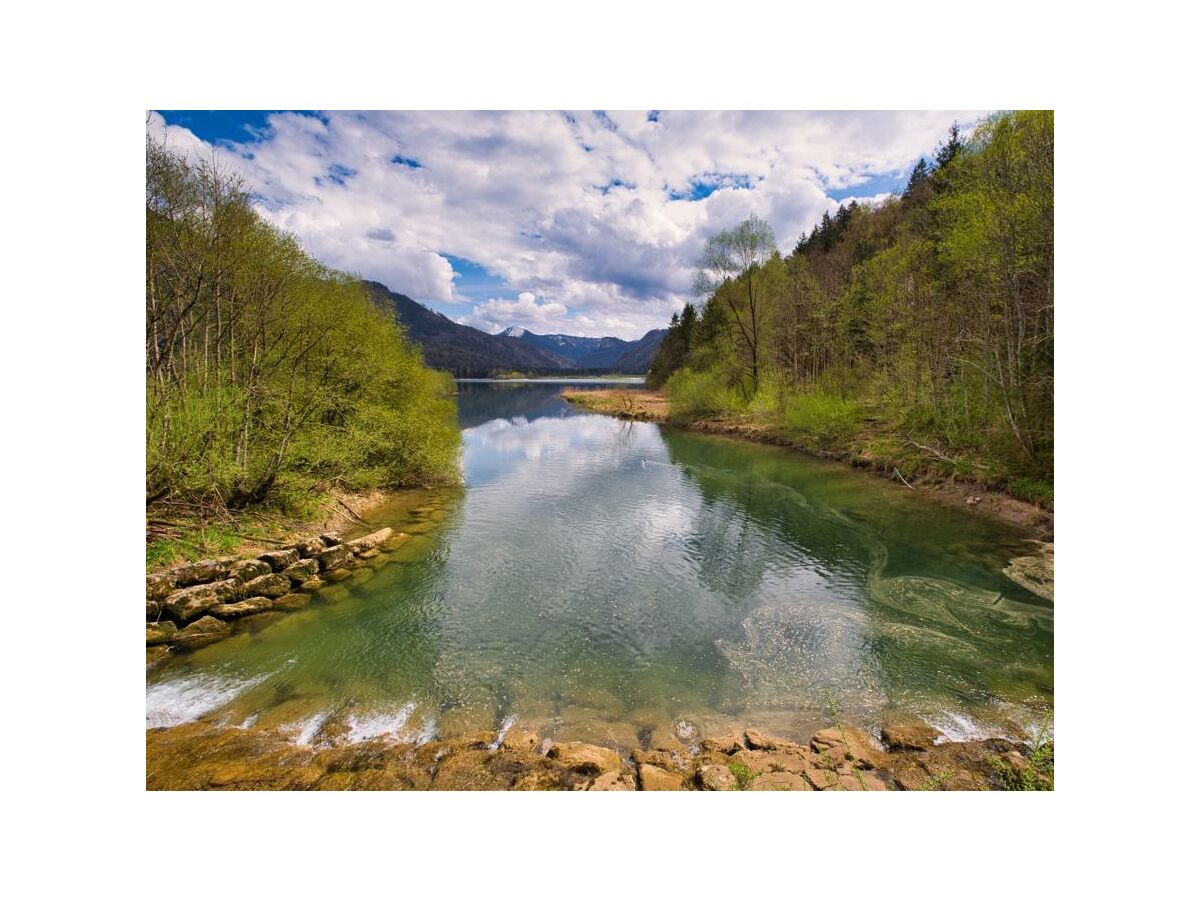 Hintersee Frühling 2020 20